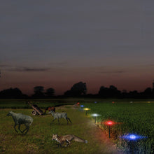 Load image into Gallery viewer, Solar Flair light for Agriculture